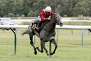 Race 5 - Roman Mist (3)