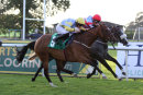 Race 5 - Rosy Ryan (13)