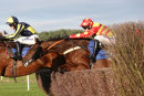 Race 5 - Royal Village (2)