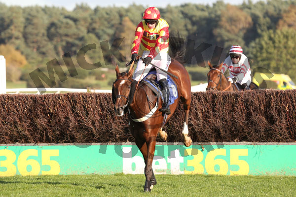 Race 5 - Royal Village (5)