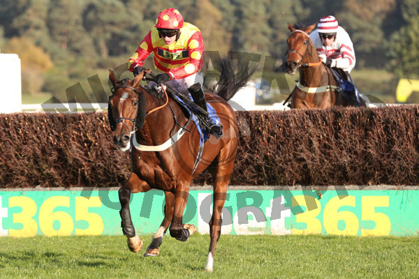 Race 5 - Royal Village (6)