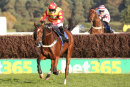 Race 5 - Royal Village (6)