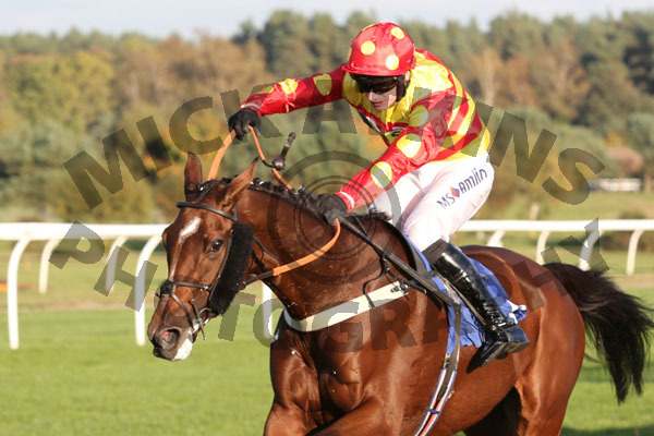 Race 5 - Royal Village (8)