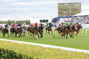 Race 5 - Saluti (2)