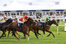 Race 5 - Saluti (4)
