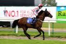 Race 5 - Scarlet Dragon (2)