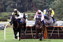 Race 5 - Scarlet Dragon (5)