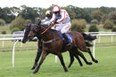 Race 5 - Scarlet Dragon (9)