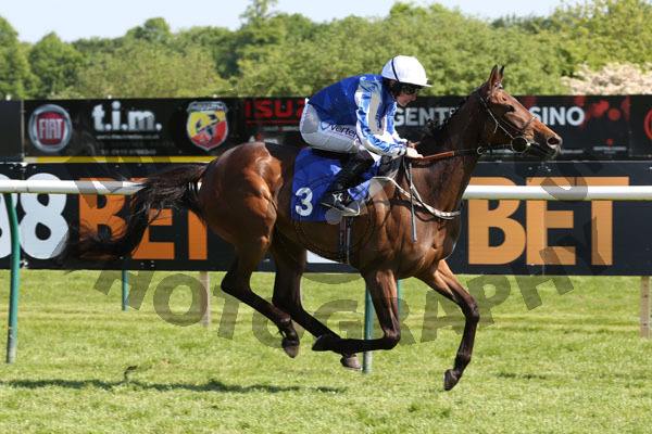 Race 5 - Sea Youmzain (6)