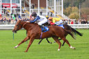 Race 5 - Seamster (8)