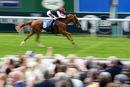 Race 5 - Search For A Song (3)
