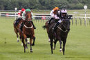 Race 5 - Sendacard (10)