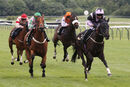 Race 5 - Sendacard (13)