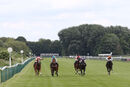 Race 5 - Sendacard (2)