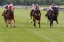 Race 5 - Sendacard (9)