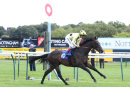 Race 5 - Sharja Bridge (11)