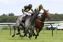 Race 5 - Silver Gunn (8)