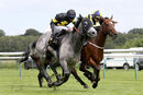 Race 5 - Silver Gunn (9)