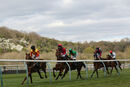 Race 5 - Sir Ron Priestley (1)