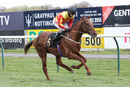 Race 5 - Sir Ron Priestley (4)