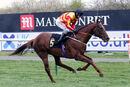 Race 5 - Sir Ron Priestley (7)
