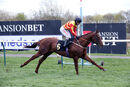 Race 5 - Sir Ron Priestley (8)