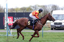 Race 5 - Sir Ron Priestley (9)