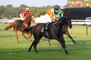 Race 5 - Snow Berry (16)
