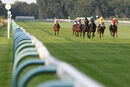 Race 5 - Snow Berry (3)