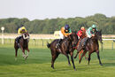 Race 5 - Snow Berry (8)