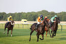 Race 5 - Snow Berry (9)