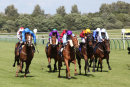 Race 5 - Soaring Spirits (4)