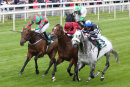 Race 5 - Sovereign Debt (2)