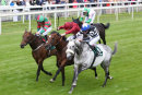Race 5 - Sovereign Debt (3)