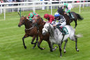 Race 5 - Sovereign Debt (4)