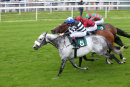 Race 5 - Sovereign Debt (6)