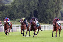 Race 5 - Stallone (3)