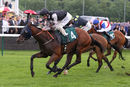 Race 5 - Stallone (7)