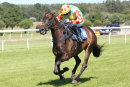 Race 5 - Sumkindofking (9)