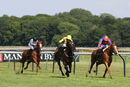 Race 5 - Sweet Believer (3)
