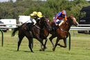 Race 5 - Sweet Believer (4)
