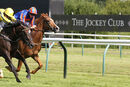 Race 5 - Sweet Believer (6)