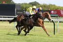 Race 5 - Sweet Believer (7)