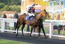 Race 5 - Tarboosh (3)