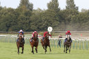 Race 5 - Tarboosh (4)