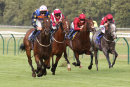 Race 5 - Tarboosh (5)