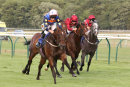 Race 5 - Tarboosh (7)