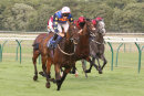Race 5 - Tarboosh (8)