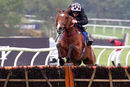 Race 5 - The Sweeney (2)