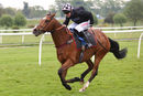 Race 5 - The Sweeney (8)